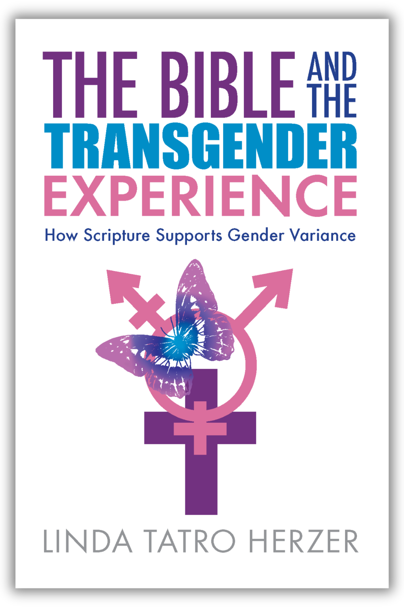 The Bible and the Transgender Experience | How Scripture Supports Gender Variance (Herzer)