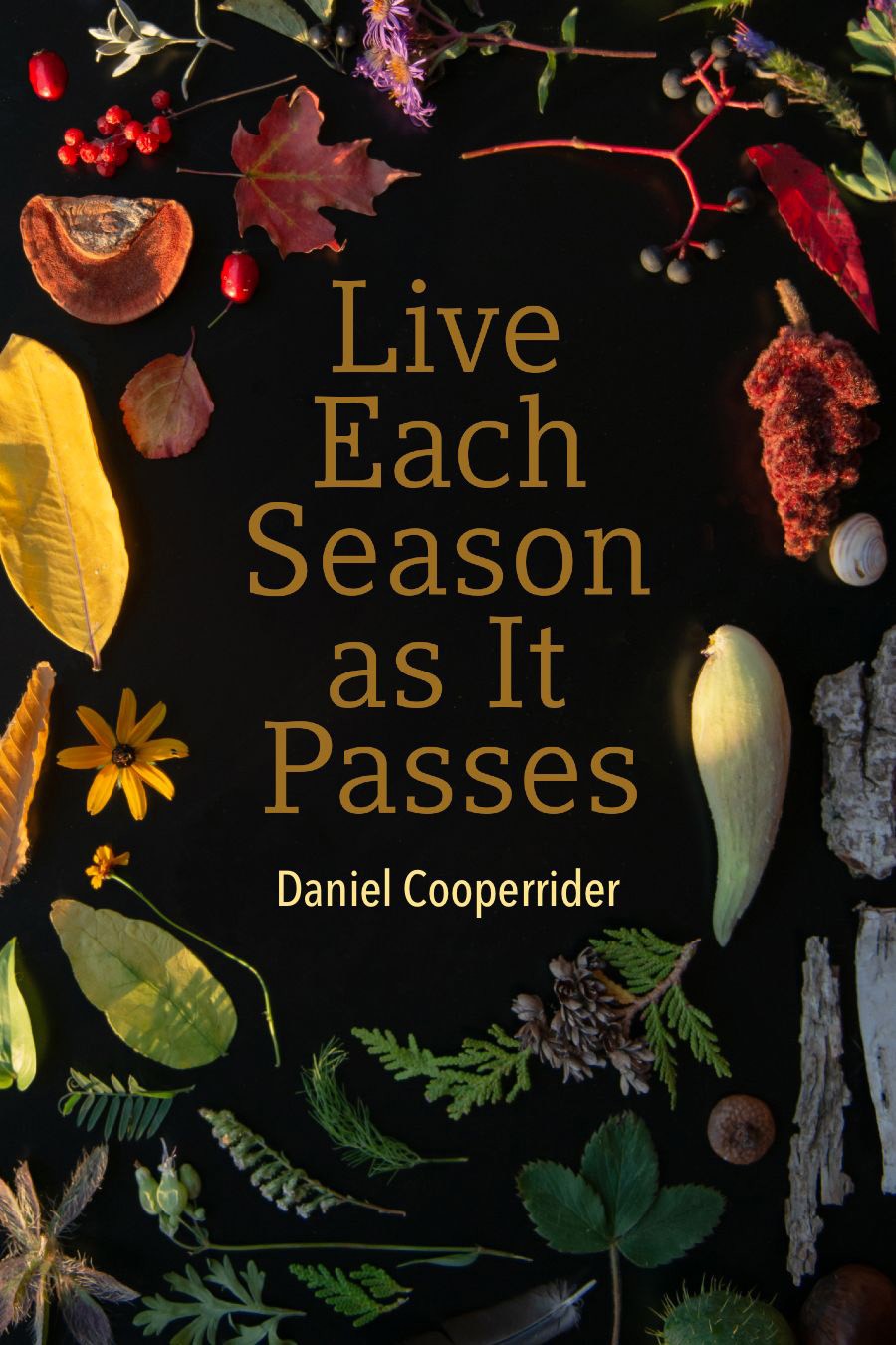 Live Each Season as It Passes (Cooperrider)