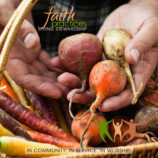Faith Practices | Living Stewardship (Downloadable PDFs)
