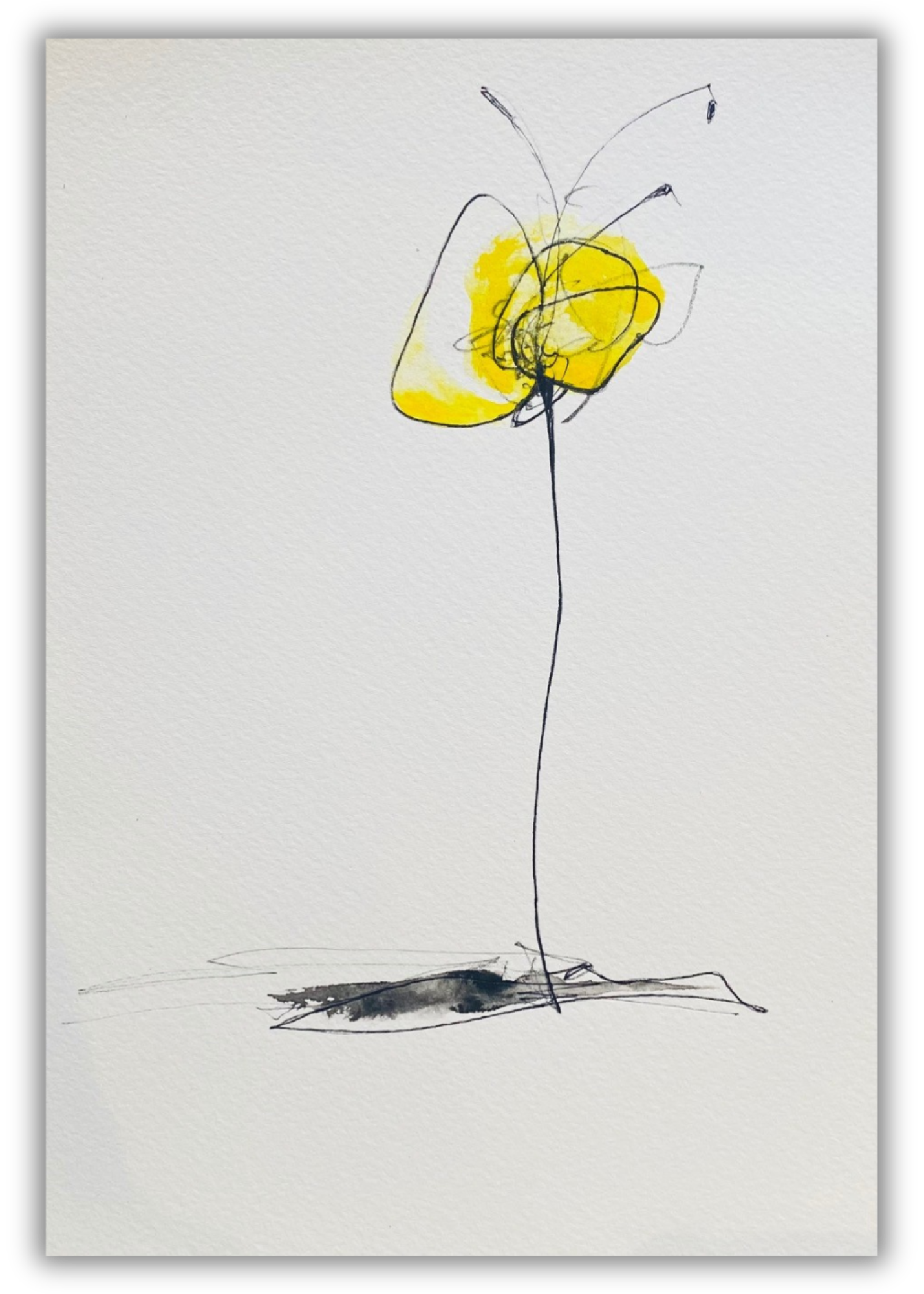 "The Lily Proclaims It" | Easter Card
