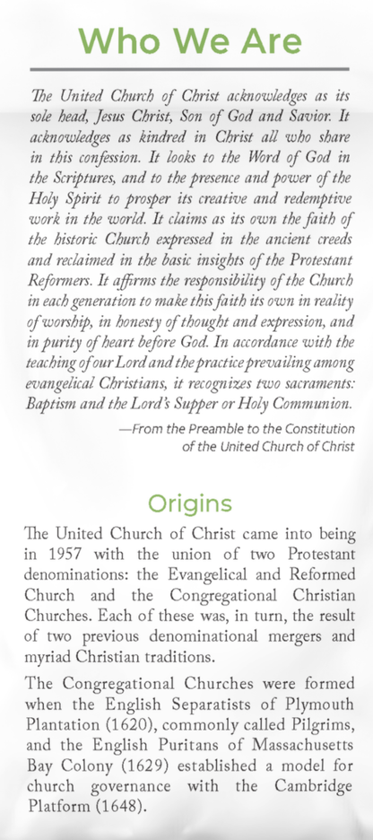 Who We Are, What We Believe | Pack of 100 Brochures