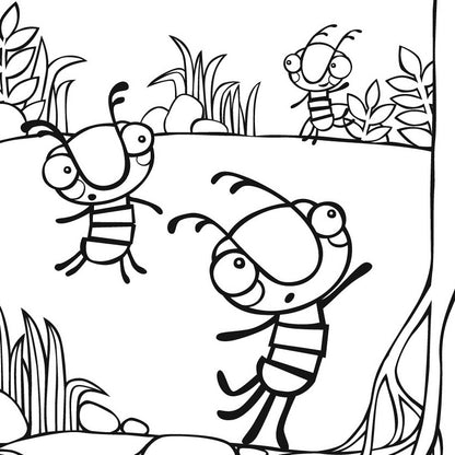 Water Insect Coloring Pages Water Bug Coloring Sheet